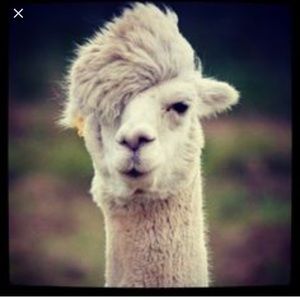 Meet your Posher, Roderick